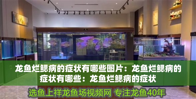 龍魚爛鰓病的癥狀有哪些圖片：龍魚爛鰓病的癥狀有哪些：龍魚爛鰓病的癥狀