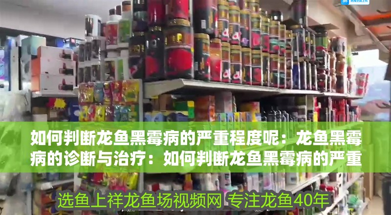 如何判斷龍魚黑霉病的嚴重程度呢：龍魚黑霉病的診斷與治療：如何判斷龍魚黑霉病的嚴重程度治療龍魚黑霉病的嚴重程度