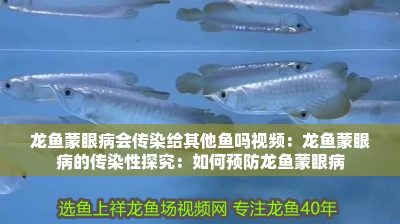 龍魚蒙眼病會傳染給其他魚嗎視頻：龍魚蒙眼病的傳染性探究：如何預防龍魚蒙眼病
