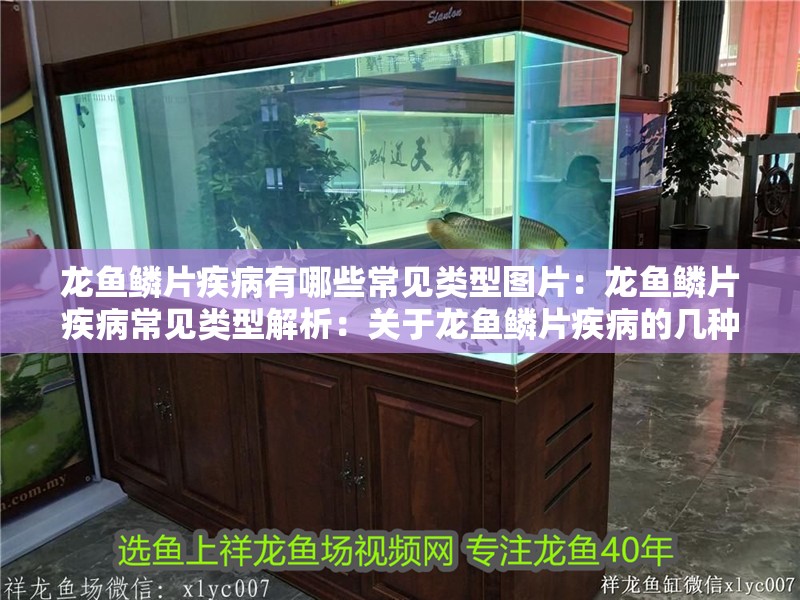 龍魚鱗片疾病有哪些常見類型圖片：龍魚鱗片疾病常見類型解析：關于龍魚鱗片疾病的幾種分析