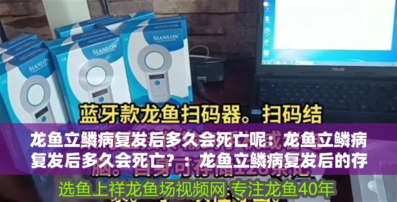 龍魚立鱗病復(fù)發(fā)后多久會死亡呢：龍魚立鱗病復(fù)發(fā)后多久會死亡？：龍魚立鱗病復(fù)發(fā)后的存活時間