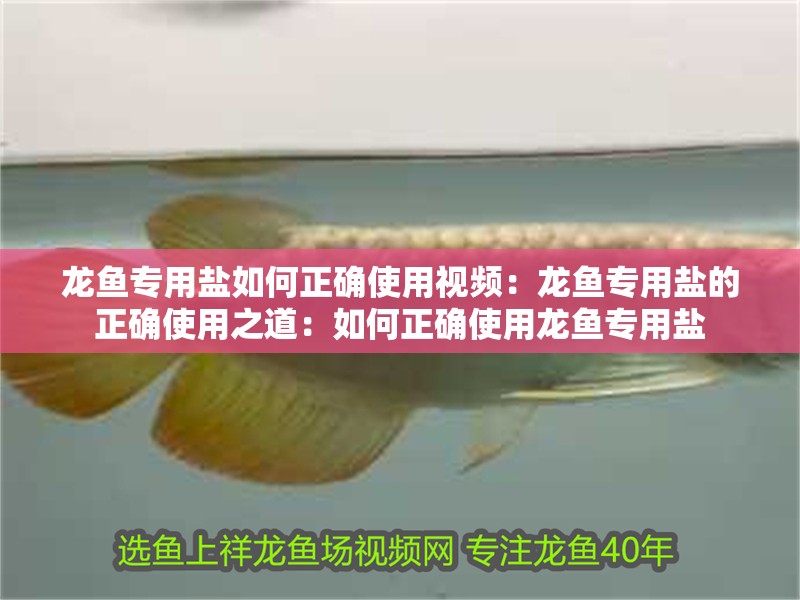 龍魚專用鹽如何正確使用視頻：龍魚專用鹽的正確使用之道：如何正確使用龍魚專用鹽