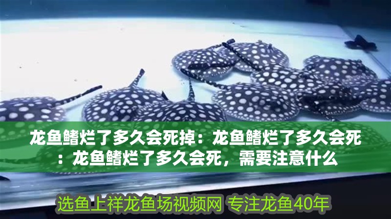 龍魚鰭爛了多久會死掉：龍魚鰭爛了多久會死：龍魚鰭爛了多久會死，需要注意什么