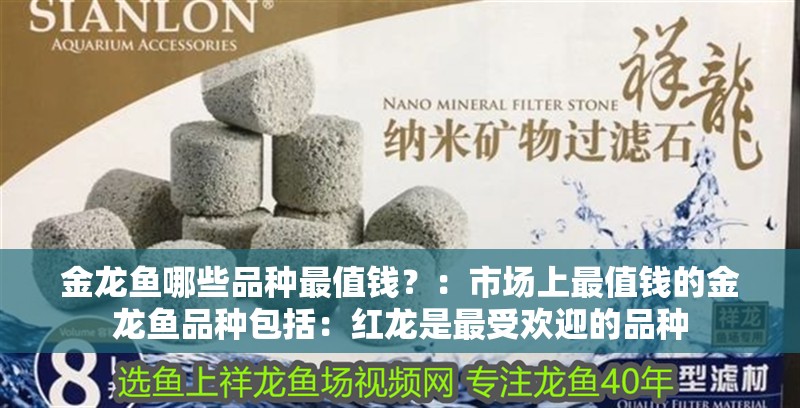 金龍魚哪些品種最值錢？：市場(chǎng)上最值錢的金龍魚品種包括：紅龍是最受歡迎的品種