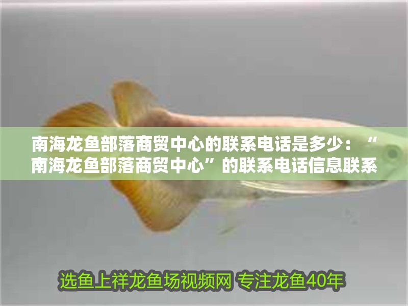 南海龍魚部落商貿(mào)中心的聯(lián)系電話是多少：“南海龍魚部落商貿(mào)中心”的聯(lián)系電話信息聯(lián)系電話信息