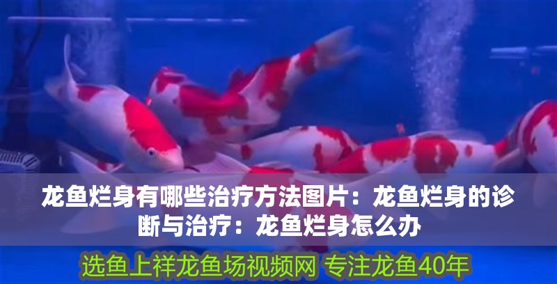 龍魚爛身有哪些治療方法圖片：龍魚爛身的診斷與治療：龍魚爛身怎么辦