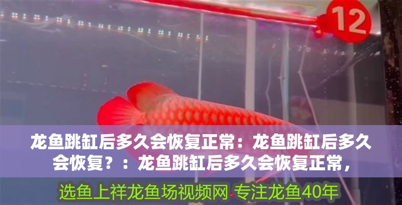 龍魚跳缸后多久會恢復正常：龍魚跳缸后多久會恢復？：龍魚跳缸后多久會恢復正常，