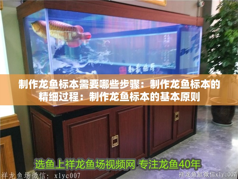 制作龍魚標本需要哪些步驟：制作龍魚標本的精細過程：制作龍魚標本的基本原則