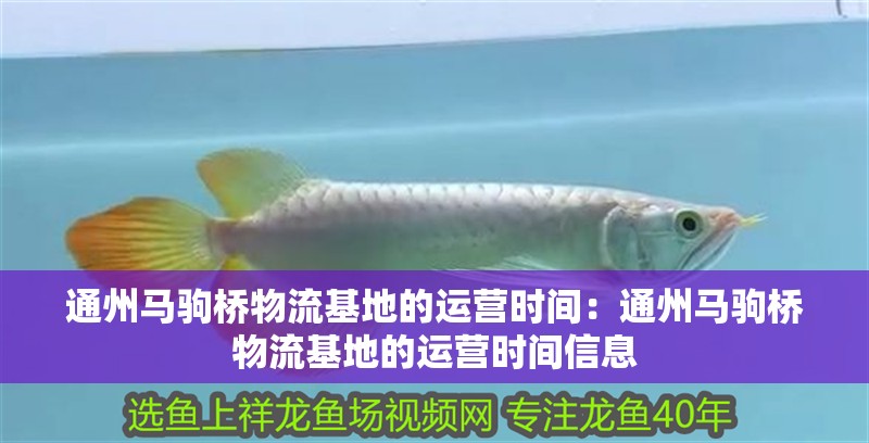 通州馬駒橋物流基地的運營時間：通州馬駒橋物流基地的運營時間信息