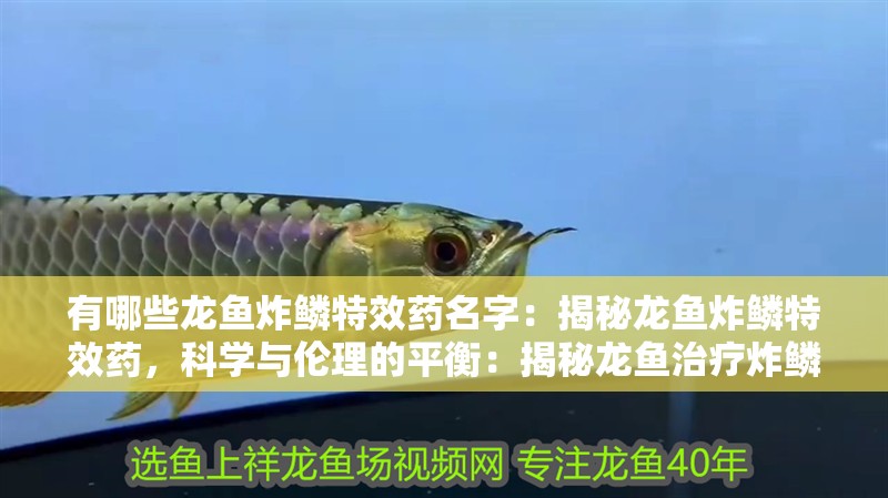 有哪些龍魚炸鱗特效藥名字：揭秘龍魚炸鱗特效藥，科學與倫理的平衡：揭秘龍魚治療炸鱗特效藥