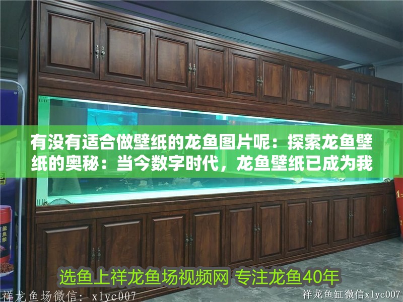 有沒有適合做壁紙的龍魚圖片呢：探索龍魚壁紙的奧秘：當今數字時代，龍魚壁紙已成為我們生活中不可或缺的一部分