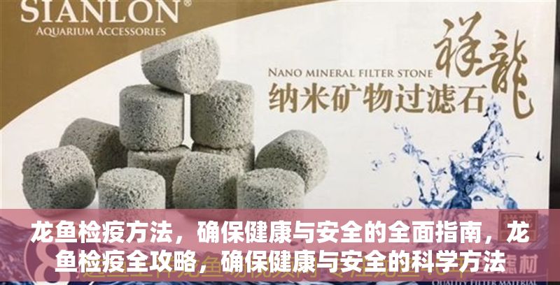 龍魚檢疫方法，確保健康與安全的全面指南，龍魚檢疫全攻略，確保健康與安全的科學(xué)方法