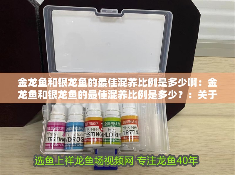 金龍魚和銀龍魚的最佳混養比例是多少啊：金龍魚和銀龍魚的最佳混養比例是多少？：關于金龍魚和銀龍魚混養的最佳比例