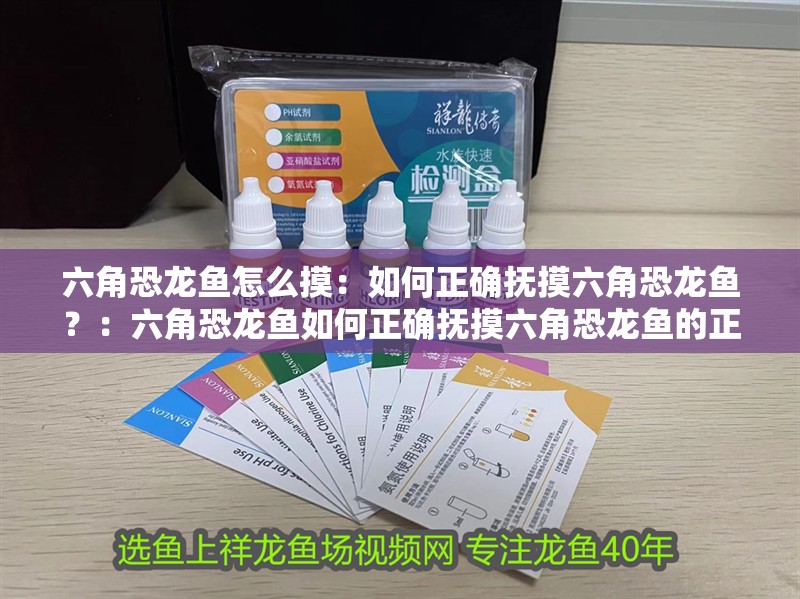 六角恐龍魚怎么摸：如何正確撫摸六角恐龍魚？：六角恐龍魚如何正確撫摸六角恐龍魚的正確撫摸方法