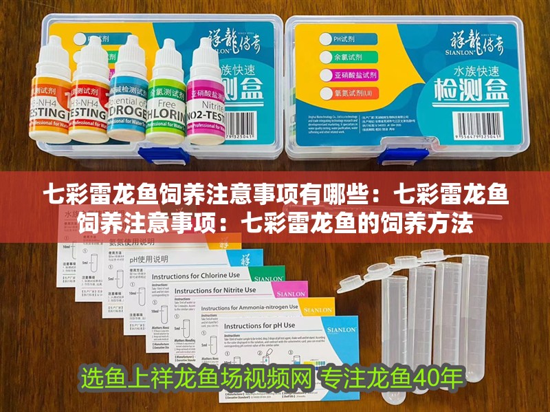 七彩雷龍魚飼養注意事項有哪些：七彩雷龍魚飼養注意事項：七彩雷龍魚的飼養方法