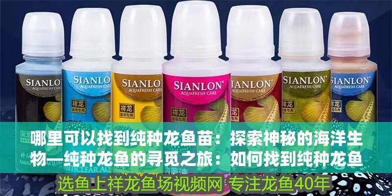 魚缸造景先放沙還是先放水(魚缸造景先鋪沙還是先放石頭) 哪里可以找到純種龍魚苗:探索神秘的海洋生物—純種龍魚的尋覓之旅:如何找到純種龍魚 水族問答 哪里可以找到純種龍魚苗:探索神秘的海洋生物—純種龍魚的尋覓之旅:如何找到純種龍魚 哪里可以找到純種龍魚苗:探索神秘的海洋生物—純種龍魚的尋覓之旅:如何找到純種龍魚 水族問答