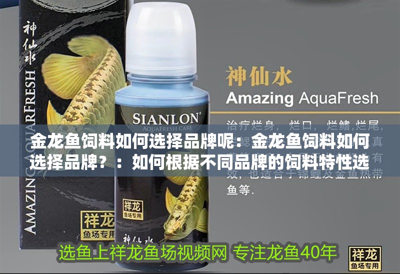 金龍魚飼料如何選擇品牌呢：金龍魚飼料如何選擇品牌？：如何根據(jù)不同品牌的飼料特性選擇適合的金龍魚飼料品牌