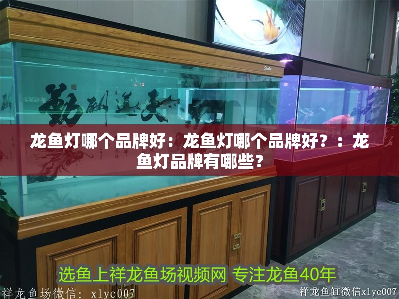 龍魚燈哪個品牌好：龍魚燈哪個品牌好？：龍魚燈品牌有哪些？