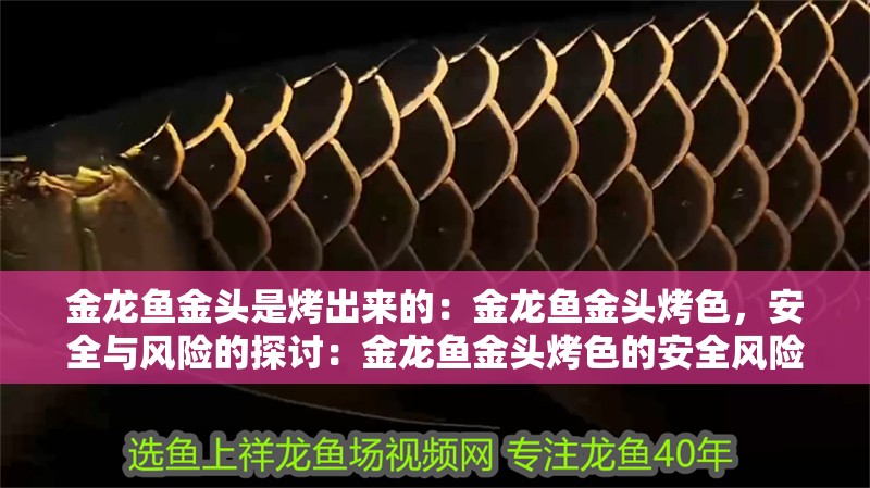 金龍魚金頭是烤出來(lái)的：金龍魚金頭烤色，安全與風(fēng)險(xiǎn)的探討：金龍魚金頭烤色的安全風(fēng)險(xiǎn)和健康問題金龍魚金頭烤色的基本原理