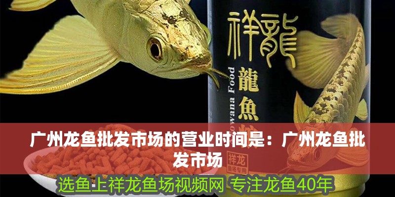 廣州龍魚批發市場的營業時間是：廣州龍魚批發市場