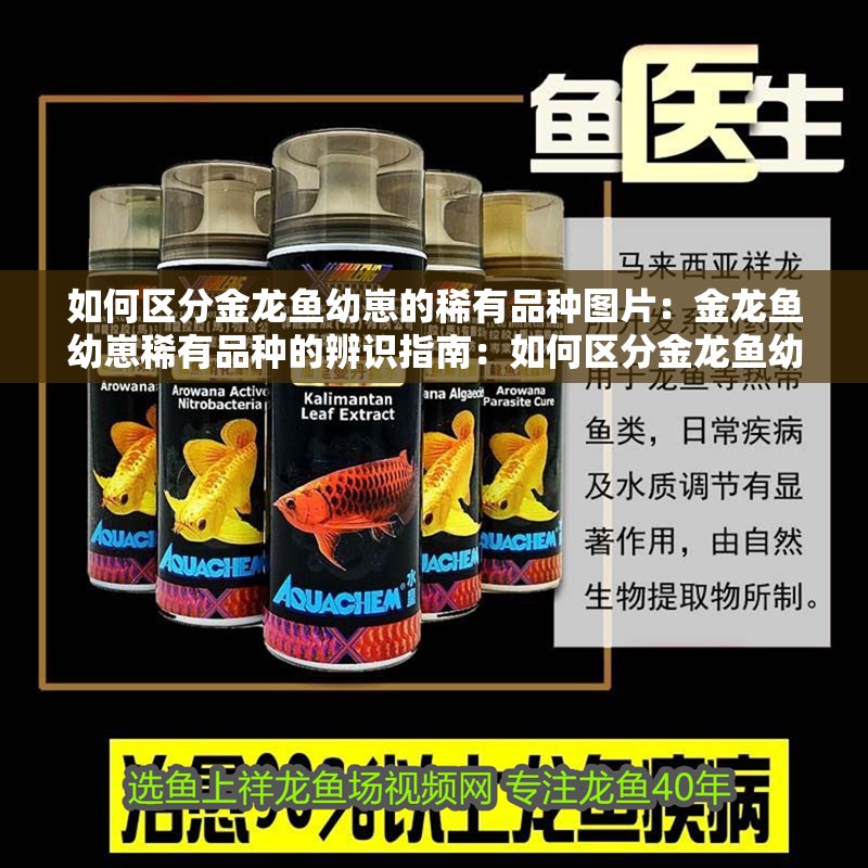 如何區(qū)分金龍魚幼崽的稀有品種圖片：金龍魚幼崽稀有品種的辨識指南：如何區(qū)分金龍魚幼崽的稀有品種