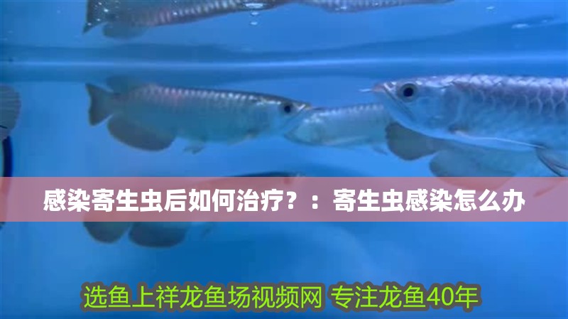 感染寄生蟲后如何治療？：寄生蟲感染怎么辦