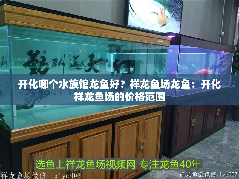 開化哪個水族館龍魚好？祥龍魚場龍魚：開化祥龍魚場的價格范圍