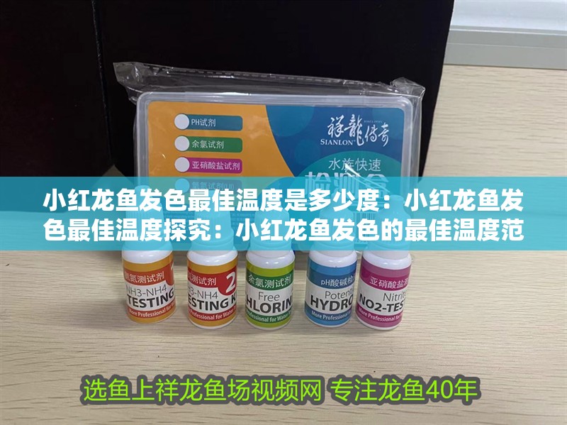小紅龍魚發色最佳溫度是多少度：小紅龍魚發色最佳溫度探究：小紅龍魚發色的最佳溫度范圍