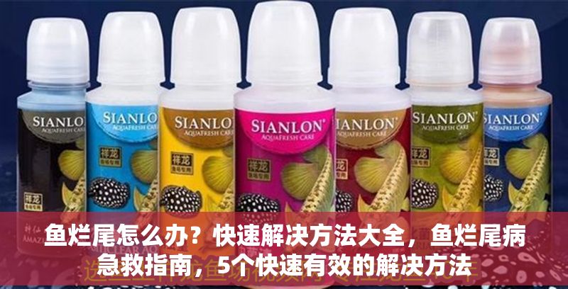 詳細(xì)閱讀:魚(yú)爛尾怎么辦?快速解決方法大全,魚(yú)爛尾病急救指南,5個(gè)快速有效的解決方法 魚(yú)爛尾怎么辦?快速解決方法大全,魚(yú)爛尾病急救指南,5個(gè)快速有效的解決方法