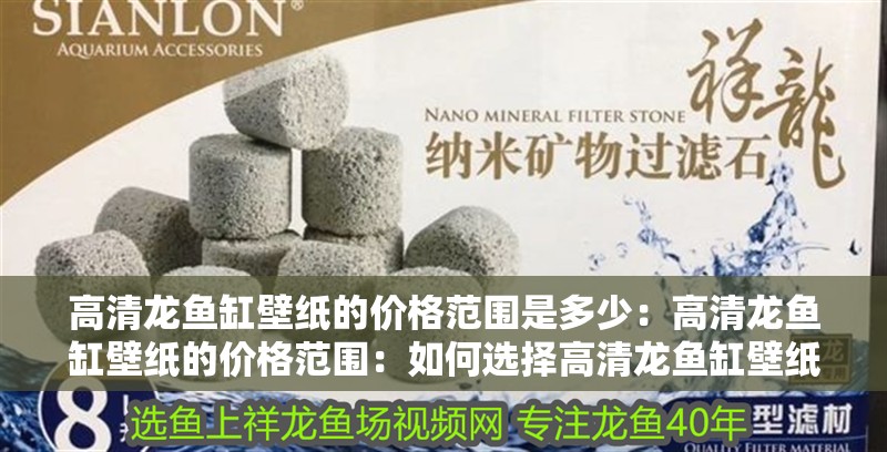 高清龍魚缸壁紙的價(jià)格范圍是多少：高清龍魚缸壁紙的價(jià)格范圍：如何選擇高清龍魚缸壁紙