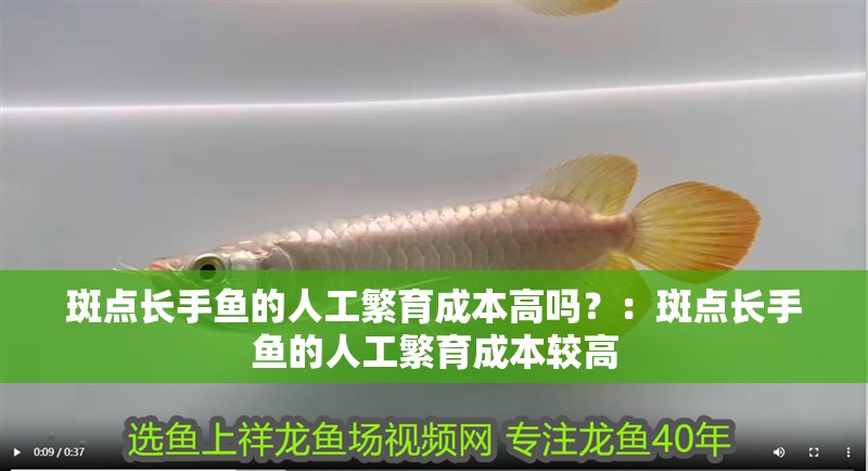 給大魚缸換水的作文:體驗給大魚缸換水的樂趣:體驗給大魚缸換水:給大魚缸換水的作文 斑點長手魚的人工繁育成本高嗎?:斑點長手魚的人工繁育成本較高 龍魚百科 斑點長手魚的人工繁育成本高嗎?:斑點長手魚的人工繁育成本較高 斑點長手魚的人工繁育成本高嗎?:斑點長手魚的人工繁育成本較高 龍魚百科
