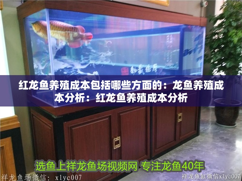 紅龍魚養殖成本包括哪些方面的：龍魚養殖成本分析：紅龍魚養殖成本分析
