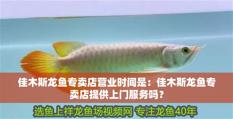 佳木斯龍魚專賣店營業(yè)時間是：佳木斯龍魚專賣店提供上門服務(wù)嗎？