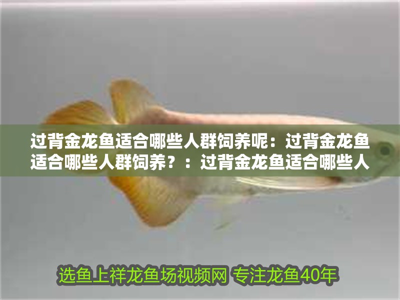 過(guò)背金龍魚適合哪些人群飼養(yǎng)呢：過(guò)背金龍魚適合哪些人群飼養(yǎng)？：過(guò)背金龍魚適合哪些人群飼養(yǎng)