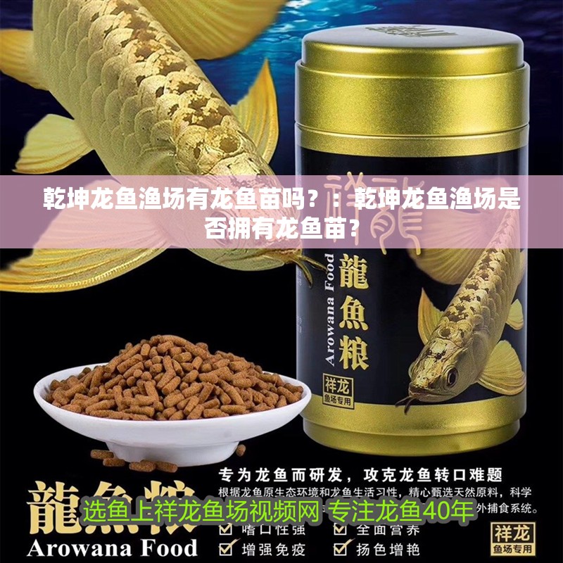 乾坤龍魚漁場有龍魚苗嗎？：乾坤龍魚漁場是否擁有龍魚苗？