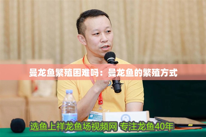 曼龍魚繁殖困難嗎：曼龍魚的繁殖方式