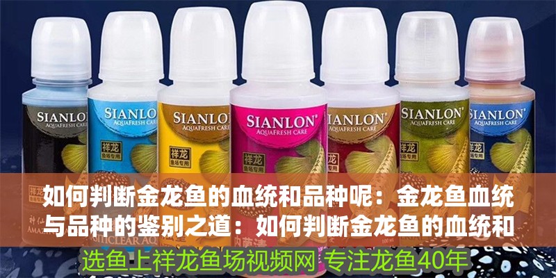 如何判斷金龍魚的血統和品種呢：金龍魚血統與品種的鑒別之道：如何判斷金龍魚的血統和品種
