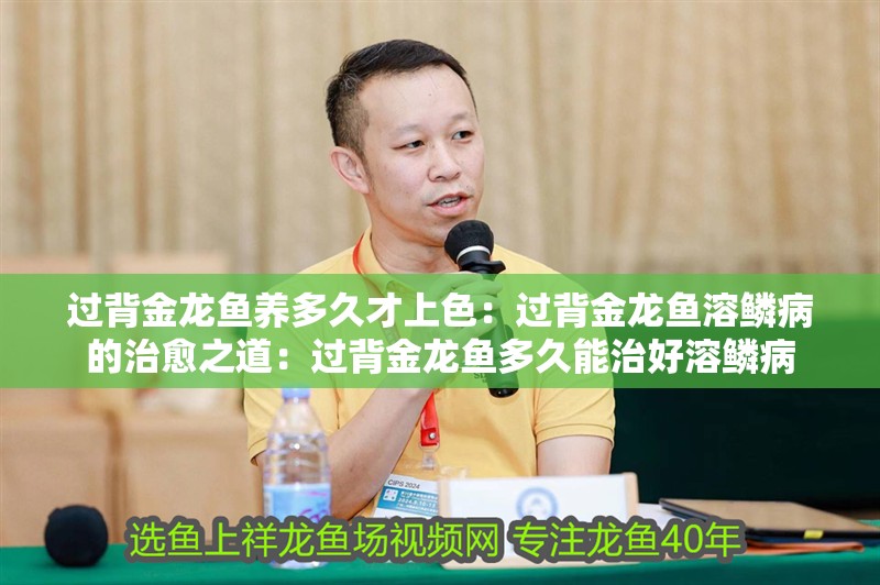 過背金龍魚養(yǎng)多久才上色：過背金龍魚溶鱗病的治愈之道：過背金龍魚多久能治好溶鱗病