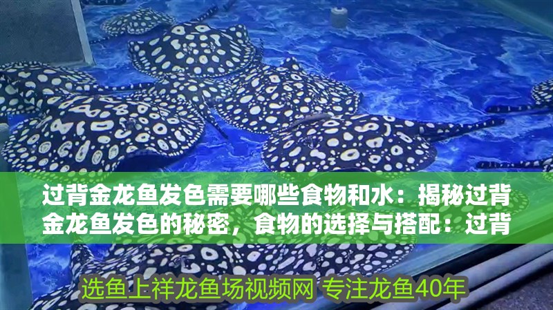 過背金龍魚發色需要哪些食物和水：揭秘過背金龍魚發色的秘密，食物的選擇與搭配：過背金龍魚發色所需所需的關鍵營養素