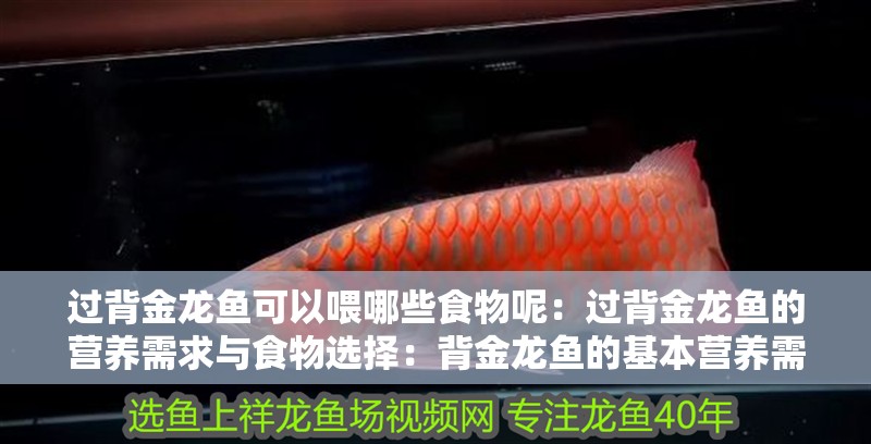 過背金龍魚可以喂哪些食物呢：過背金龍魚的營養需求與食物選擇：背金龍魚的基本營養需求和飲食需求和合適的食物種類