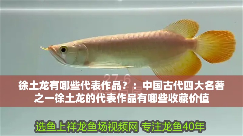 徐土龍有哪些代表作品？：中國古代四<strong><mark>大名</mark></strong>著之一徐土龍的代表作品有哪些收藏價值