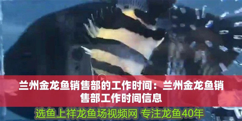蘭州金龍魚銷售部的工作時間：蘭州金龍魚銷售部工作時間信息