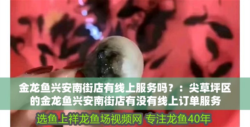 金龍魚興安南街店有線上服務嗎？：<strong><mark>尖草坪</mark></strong>區的金龍魚興安南街店有沒有線上訂單服務