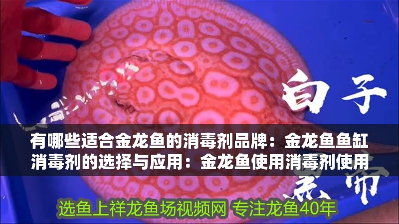 有哪些適合金龍魚的消毒劑品牌：金龍魚魚缸消毒劑的選擇與應(yīng)用：金龍魚使用消毒劑使用方法及注意事項及注意事項及注意事項
