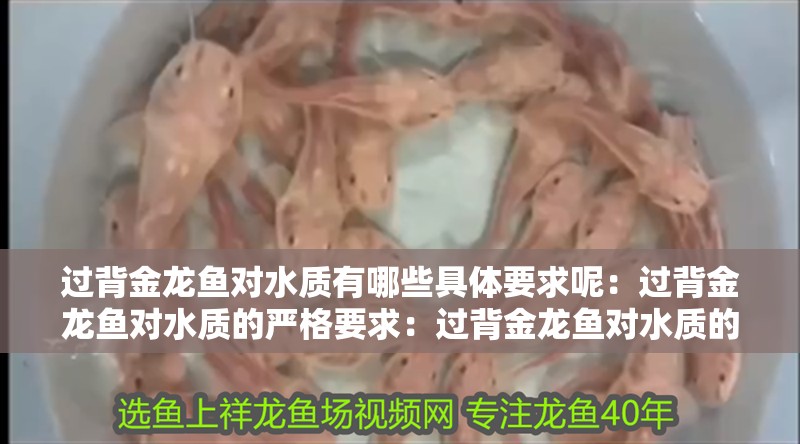 過背金龍魚對水質有哪些具體要求呢：過背金龍魚對水質的嚴格要求：過背金龍魚對水質的要求