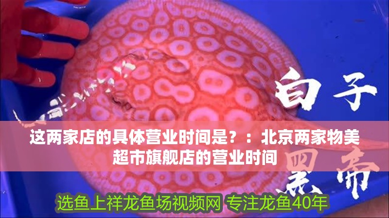 這兩家店的具體營(yíng)業(yè)時(shí)間是？：北京兩家物美超市旗艦店的營(yíng)業(yè)時(shí)間