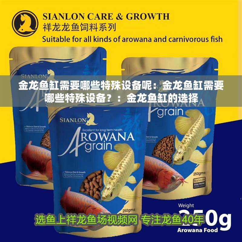 金龍魚缸需要哪些特殊設備呢：金龍魚缸需要哪些特殊設備？：金龍魚缸的選擇