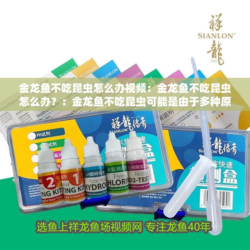 金龍魚不吃昆蟲怎么辦視頻：金龍魚不吃昆蟲怎么辦？：金龍魚不吃昆蟲可能是由于多種原因造成的