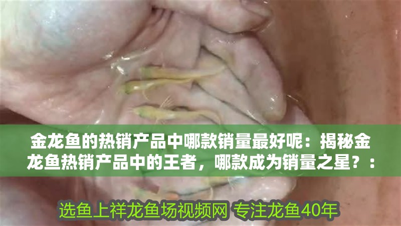 金龍魚的熱銷產品中哪款銷量最好呢：揭秘金龍魚熱銷產品中的王者，哪款成為銷量之星？：金龍魚熱銷產品成為銷量之王