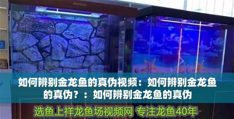 如何辨別金龍魚的真偽視頻：如何辨別金龍魚的真偽？：如何辨別金龍魚的真偽
